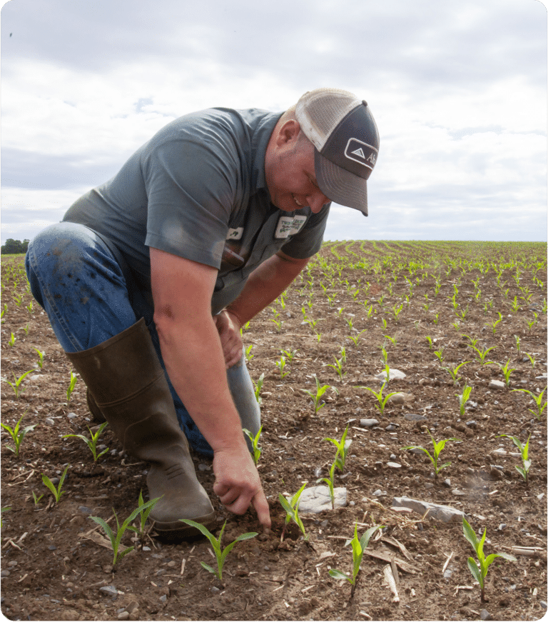 A man in a green shirt, blue jeans, brown rubber boots and a grey and white mesh hat points to the brown soil where seedlings are starting to grow in a vast green field.